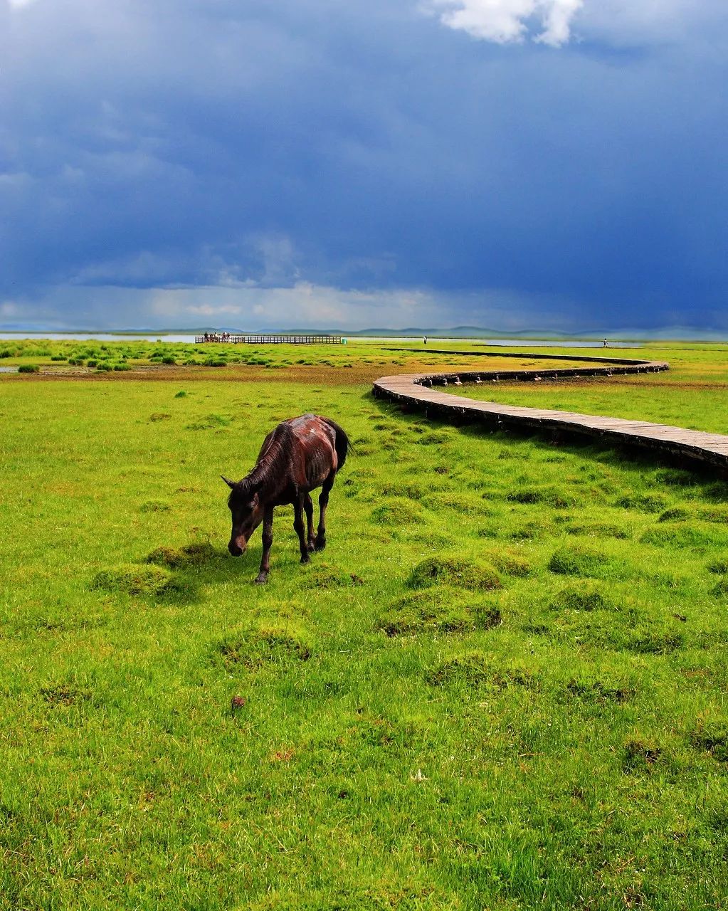 别在年轻的时候去四川！因为你的余生，都将沉醉在她的魅力里