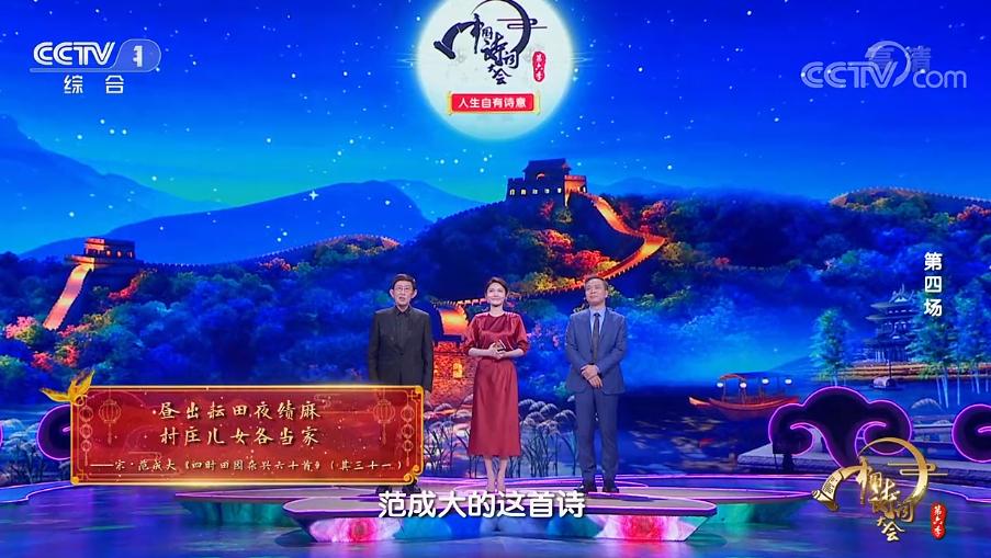 中国诗词大会2020收官龙洋致词,诗词大会嘉宾康震和王立群的关系