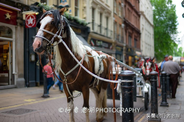 全球199个护照,中国排名如何,227个国家和地区,哪些可以免签?