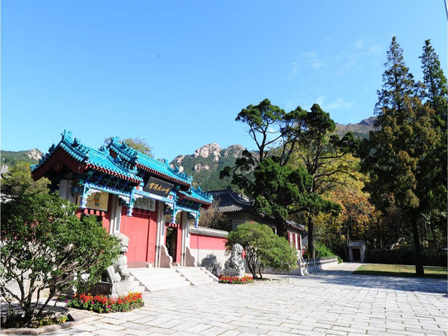 中国茶韵品牌,中国茶韵之西湖龙井茶