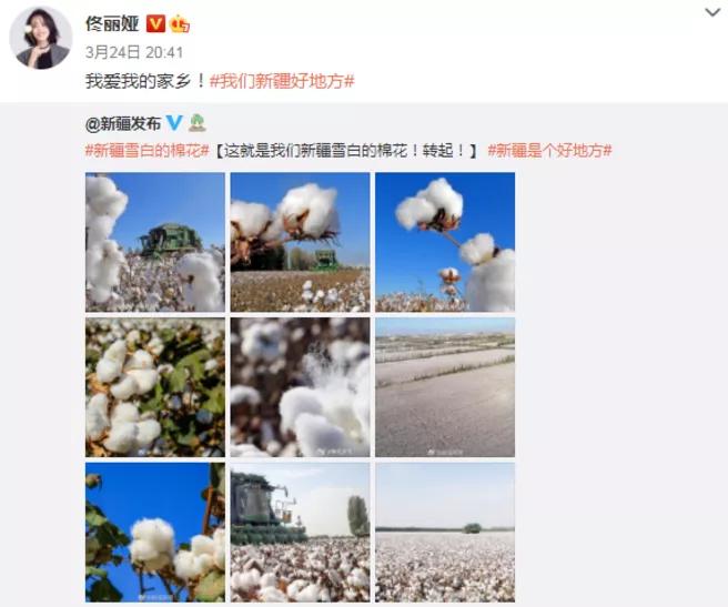 荒谬的不止HM，还有把棉花当风口的人