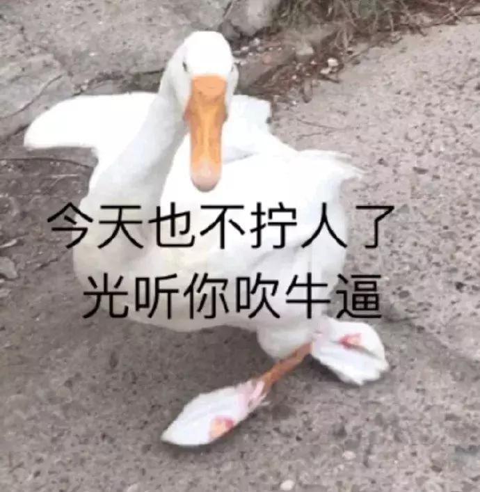 纯情少男王思聪,王思聪年轻时纯情