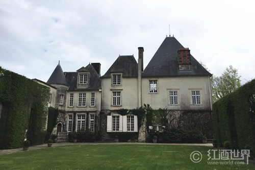 传奇波尔多拉菲葡萄,传奇波尔多红酒是拉菲的吗