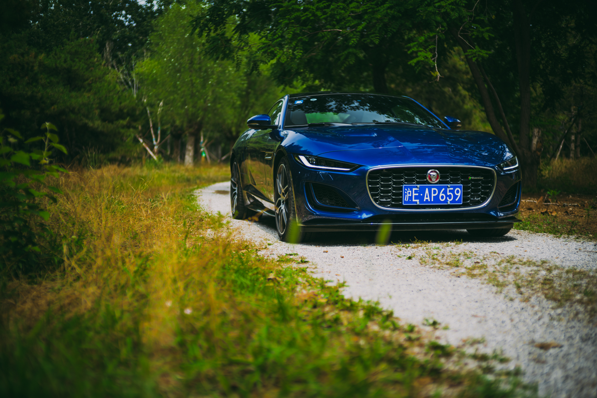 07款捷豹f-type英伦绿,捷豹f-type陈震试驾svr