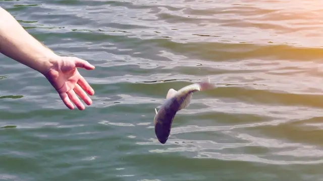 神仙难钓午时鱼下句是什么,神仙难钓午时鱼