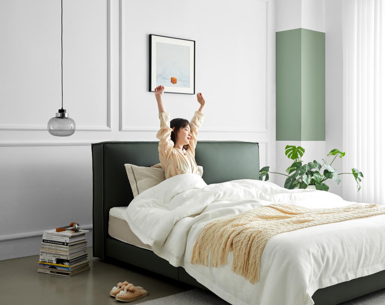 从上百张床架中挑选出的九张爆款，双十一必看，直接抄作业