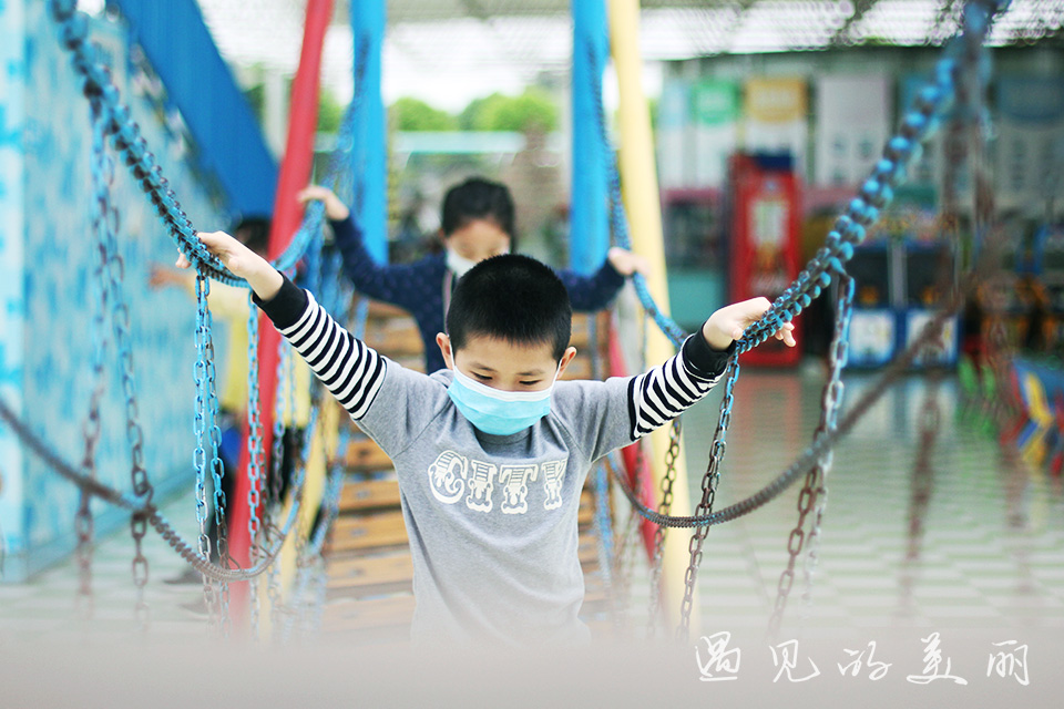 百万葵园有多坑,百万葵园免门票