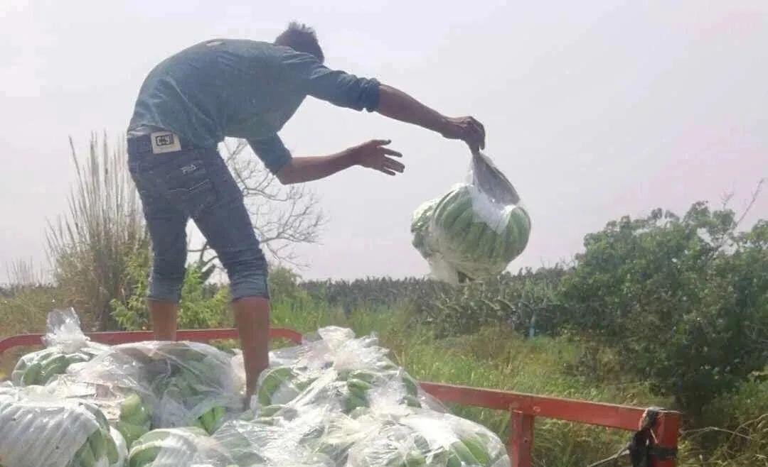 涓紖杈瑰棣欒晧,涓紖杈瑰钑夊啘