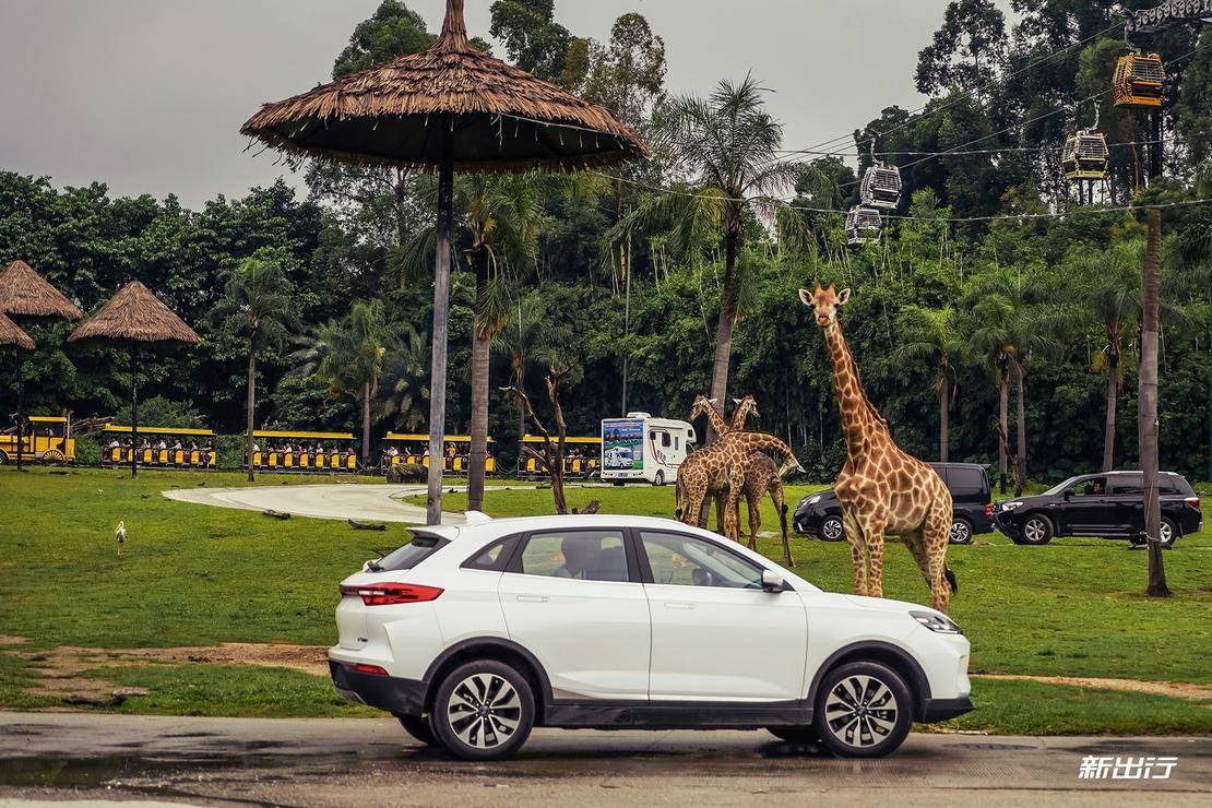 打卡长隆动物园记田妈和威马EX5520的周末