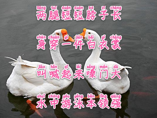 常与孩子猜谜100条儿童谜语建议,经典谜语清单让你的宝宝变聪明