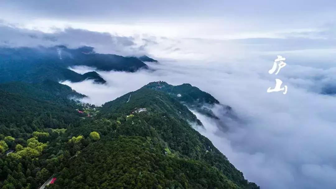 周六宁波市民半价景区,宁波景区免费最新消息