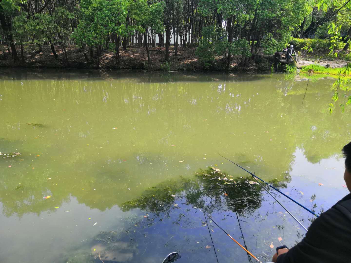 刷白条的正确方法和技巧,在线下刷白条有什么影响