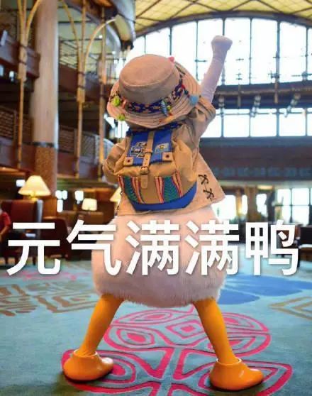 骞磋交浜鸿涓嶈鎷呭績澶村彂,鎻愰啋骞磋交浜哄埆鎷呭績澶村彂