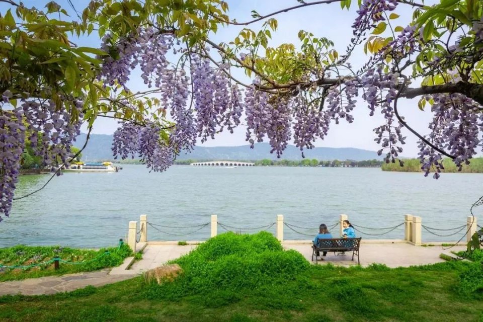 @常熟人，四月不野餐，就是对春天的浪费!