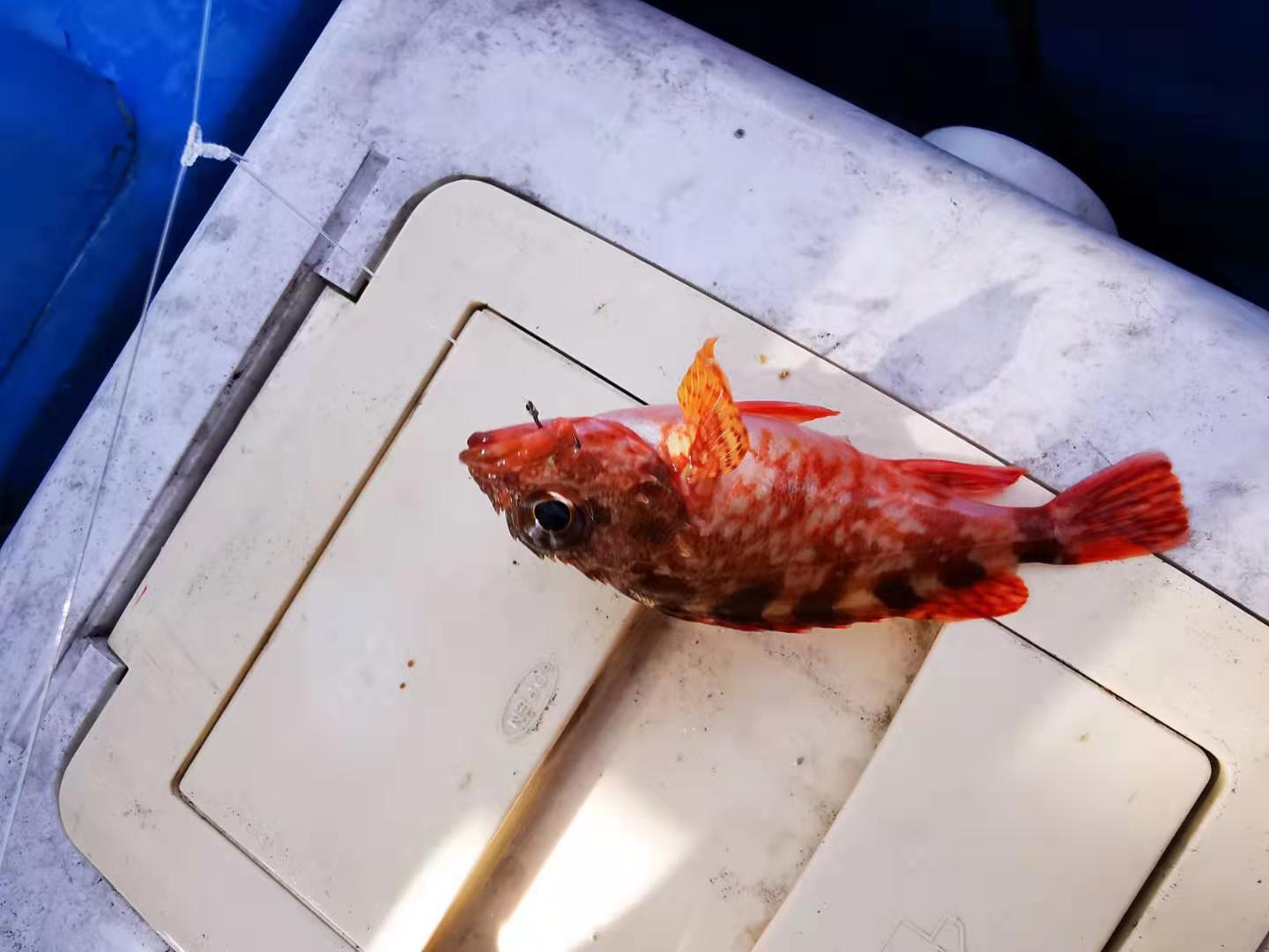 深圳马尔代夫游,深圳三门岛马尔代夫