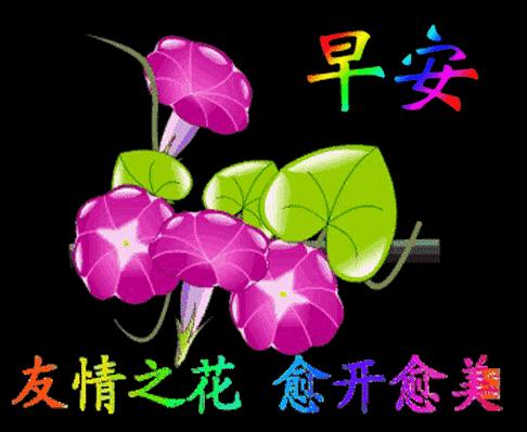 最美早上好祝福语图片,最新早上好带祝福语微信图片