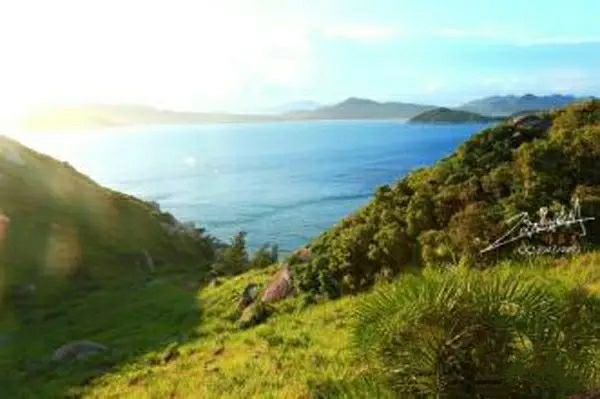 海南临高鬼岛视频,海南无人岛吓人吗