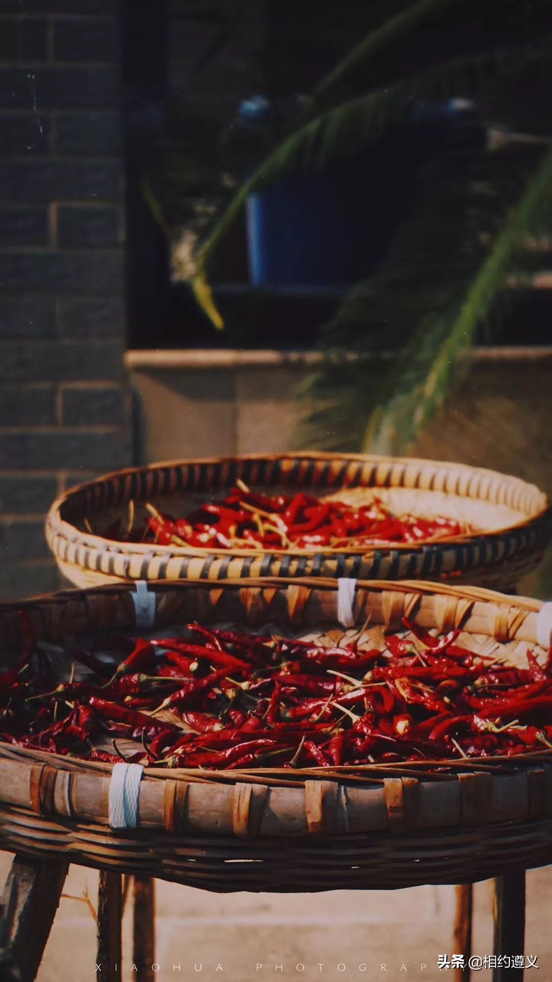 遵义一座来了就不想走的城市,醉美之城遵义太美了