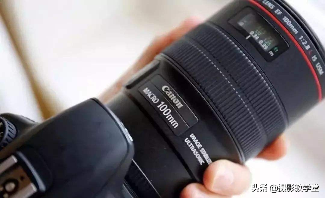 微距镜头如何拍出好的微距照片,微距摄影拍摄技巧有哪些