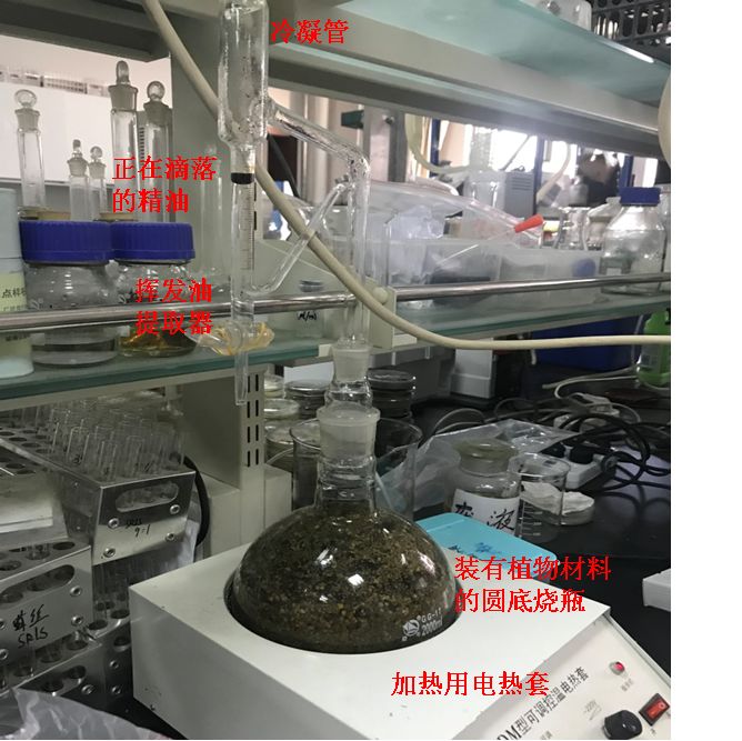 女生都爱用的护肤品,女生都爱的护发精油