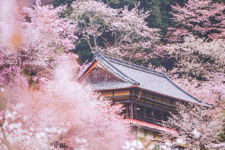 没有日本国籍可以在日本买房子吗,在日本买房后可以长期住在日本吗