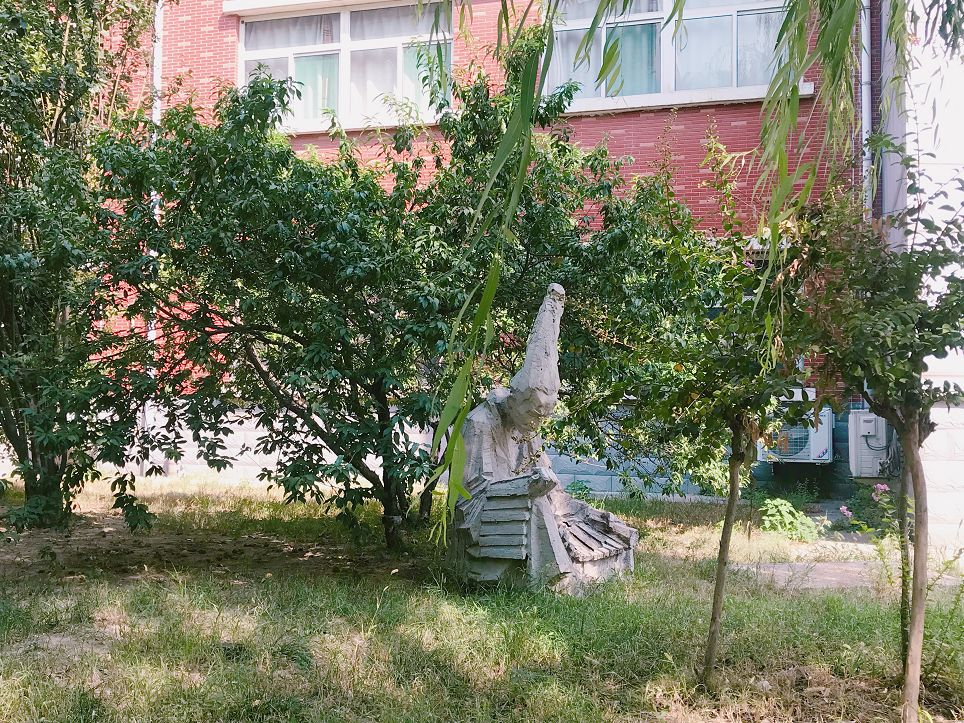 石家庄学院大一,来了石家庄