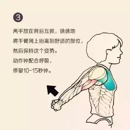 健身放松肌肉按摩棒教学,全身肌肉放松训练方法