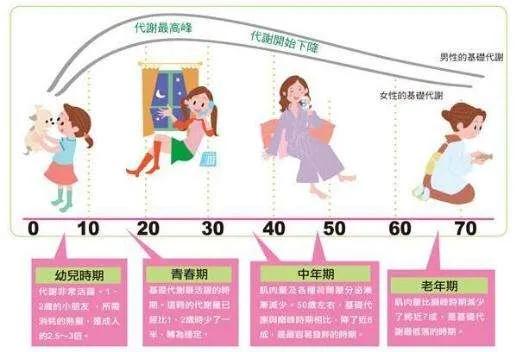 如何提高基础代谢女生,如何正确提高基础代谢
