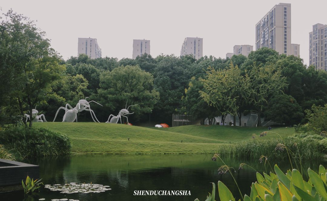 长沙旅游攻略必玩的十大景点介绍,长沙适合秋季打卡的景点