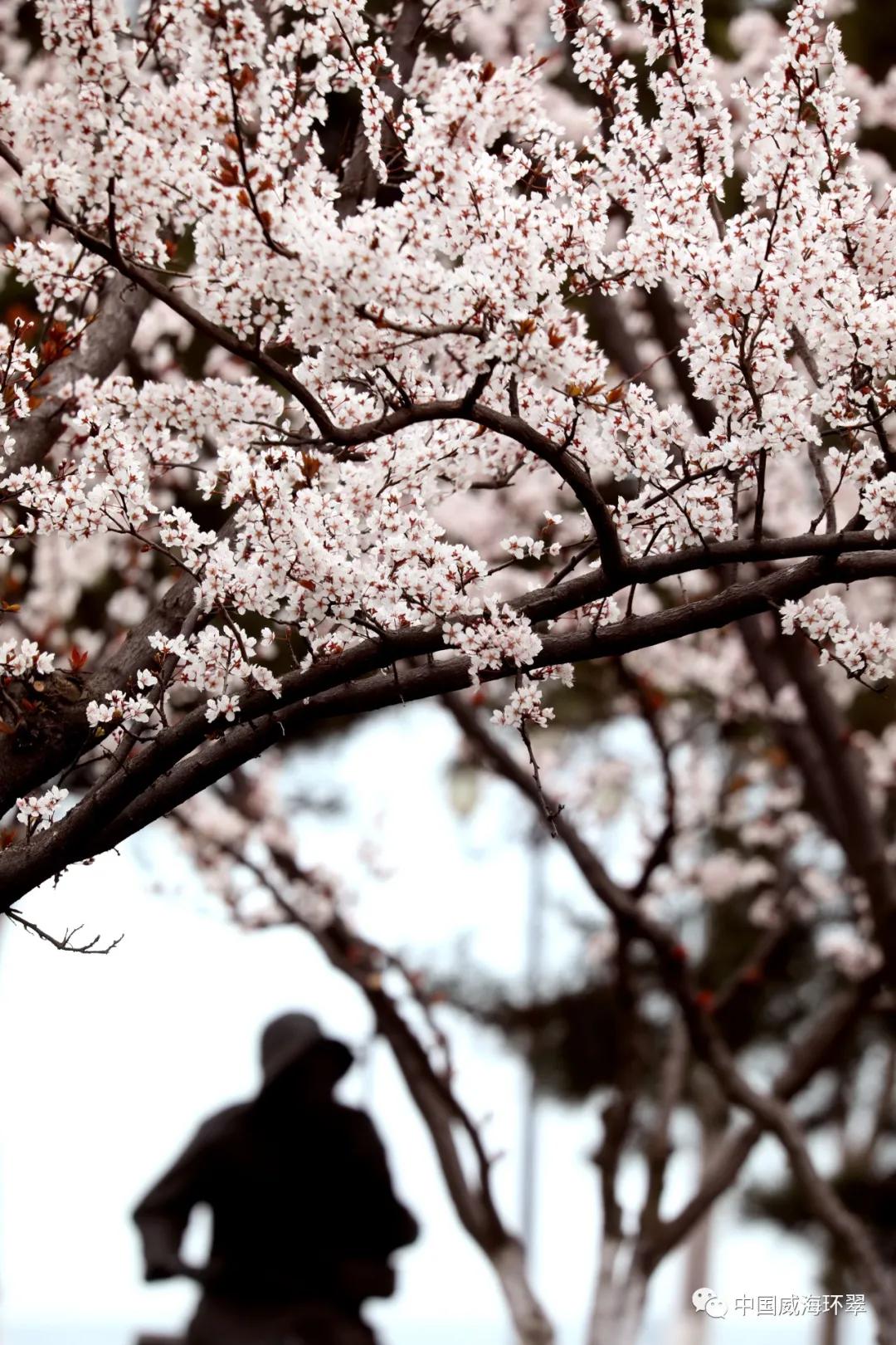 环翠景色,环翠美景