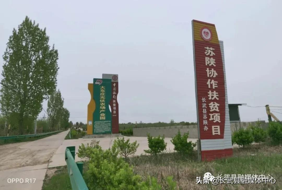 致富经|长武绿皮鸡蛋成为群众脱贫致富的“金蛋蛋”