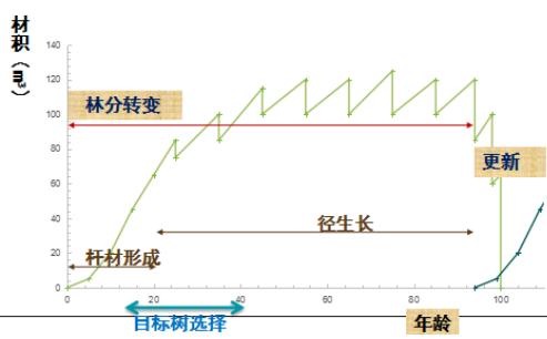 树种起源,次生林起源的特点