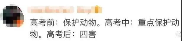 爸爸写给儿子的一封信好好学习 (一封爸爸写给儿子的信值得深看)