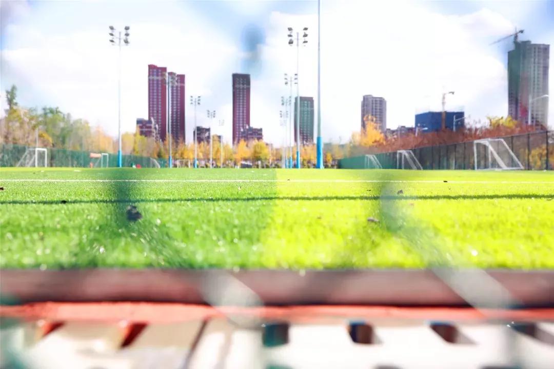 辽宁中医药大学杏林学院规模,辽宁中医学院杏林学院的排名