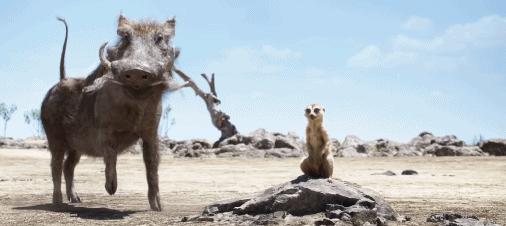 狮子王到底返不返场,狮子王口碑