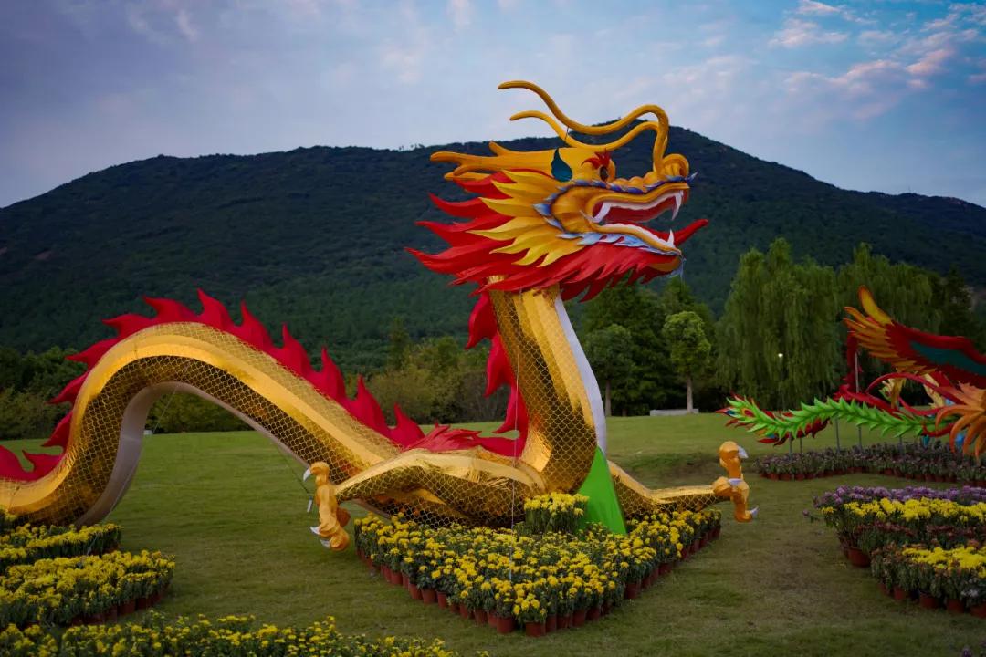 藏不住了！国庆苏州这片花海美哭了！大人小孩玩到不想走