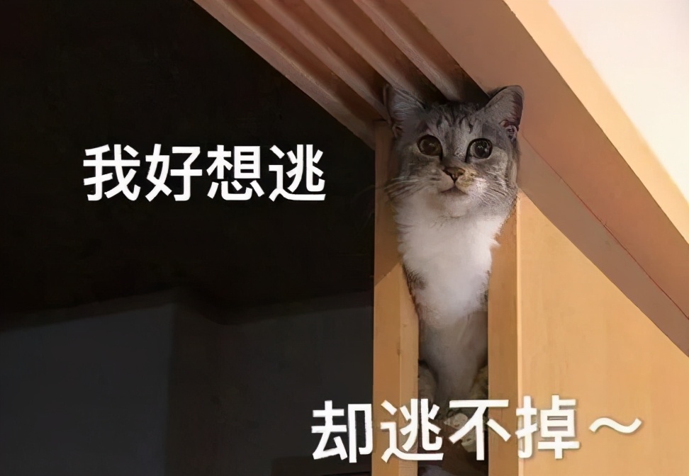 怀孕三个月后老公确诊肺结核,怀孕3个月我老公查出肺结核