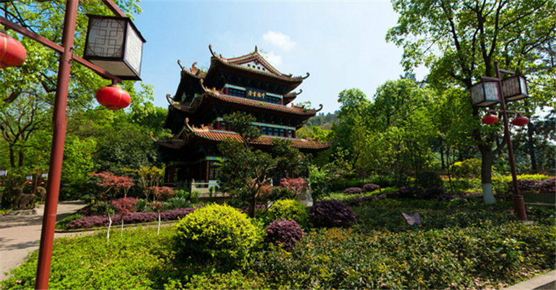 四川旅游踩坑的地方,贵州旅游踩坑