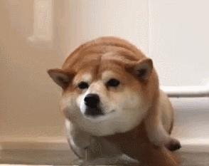 疫情结束了就去全世界旅游,现在疫情去哪旅行呢