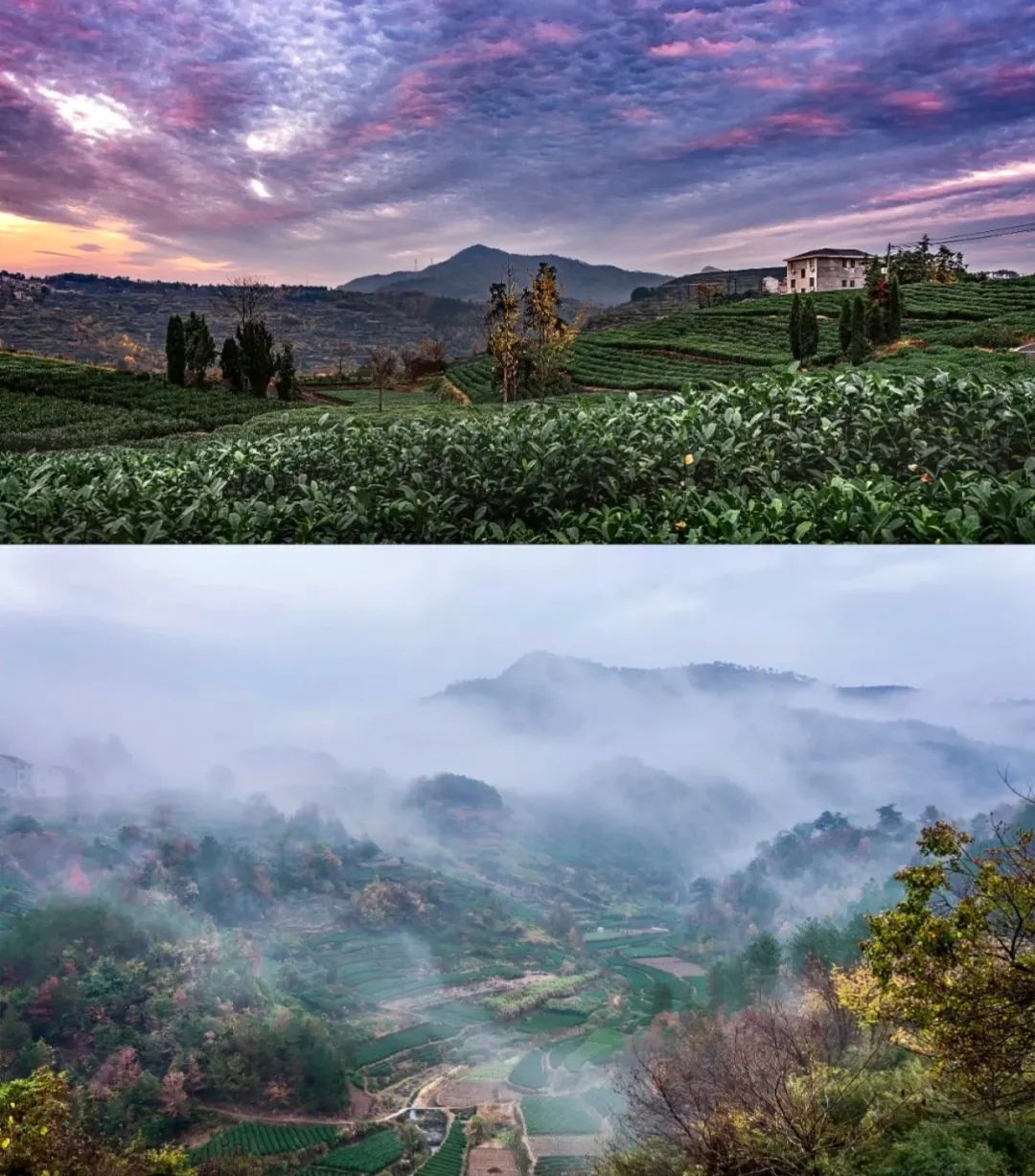 这个荣获浙江小吃冠军的小城已成网红打卡地，为了吃也值得来一趟