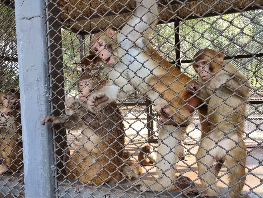 沈阳优待证免费的景点,沈阳70岁以上免费景点