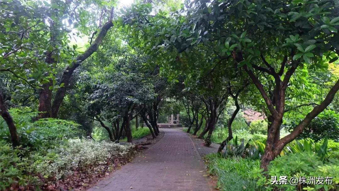 春日大自然美景视频,春日公园游玩美图视频