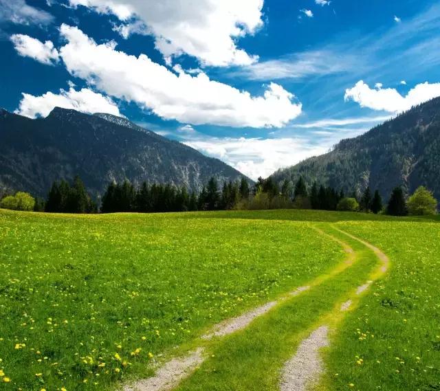 请示常用结束语恳请批准,请示的标题可以出现请求吗