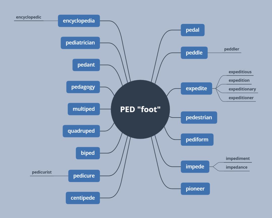 璇嶆牴tel,璇嶆牴pone