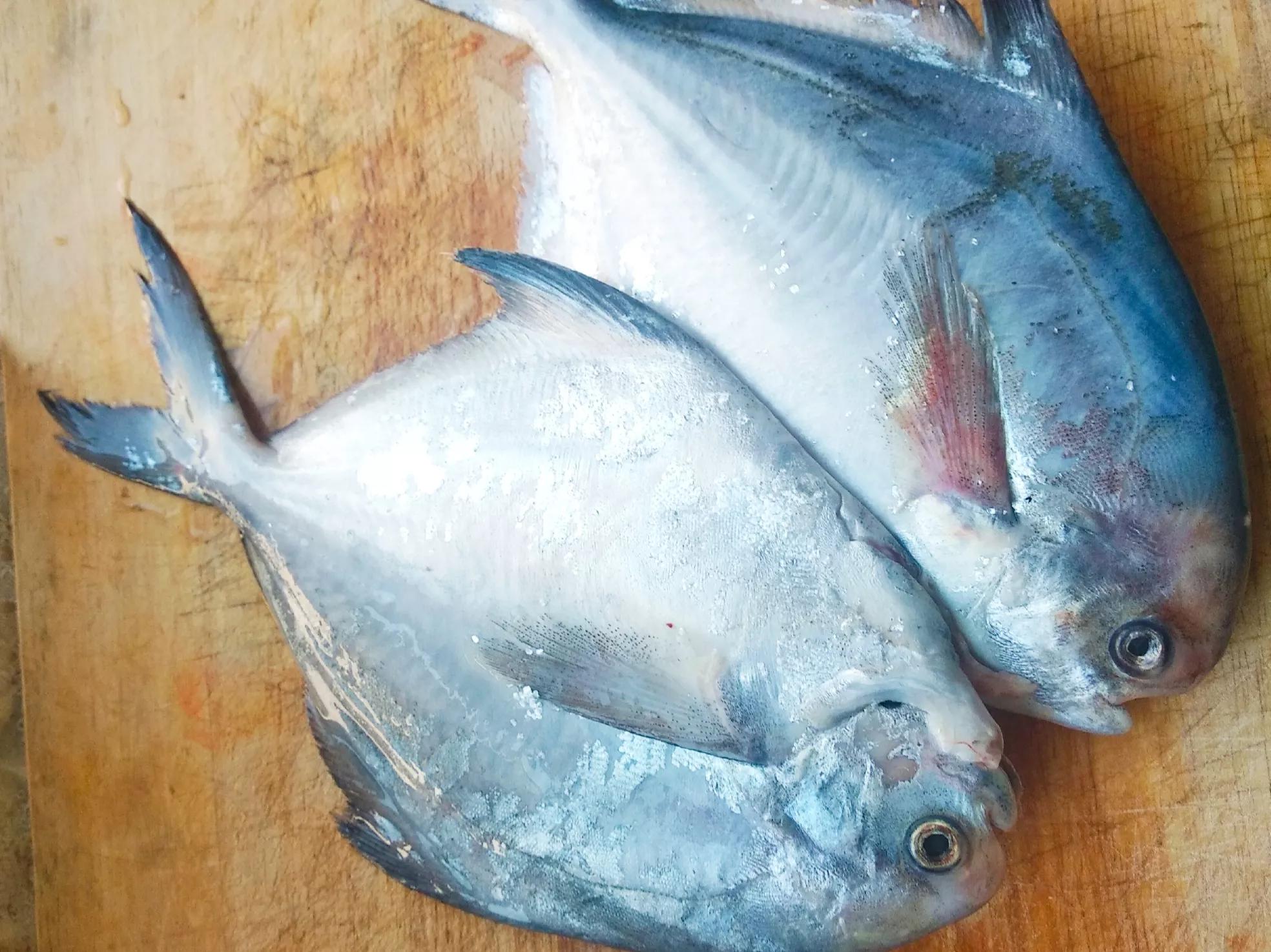 北方沿海“4大名鱼”都有啥？中秋前后正肥美，遇到别忘尝尝鲜