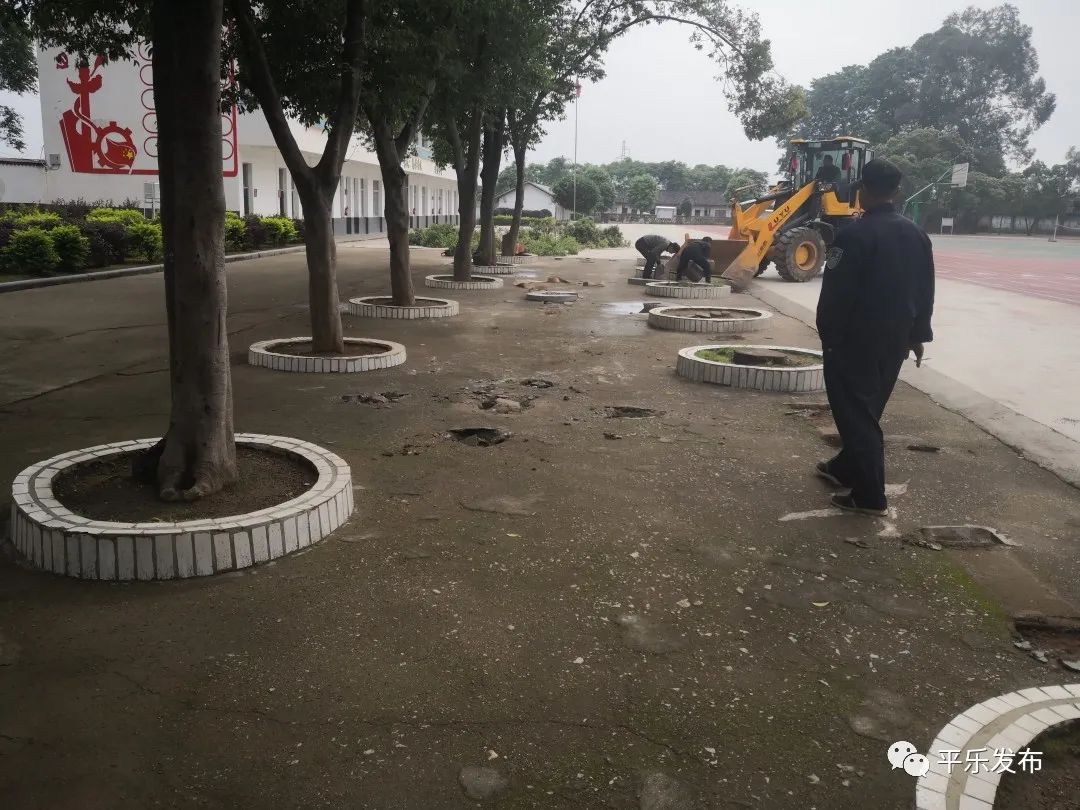 桂林平乐二塘矮山小学,广西桂林平乐二塘高桥小学