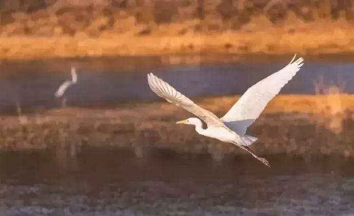 河长制治理图片,河长制解决方案