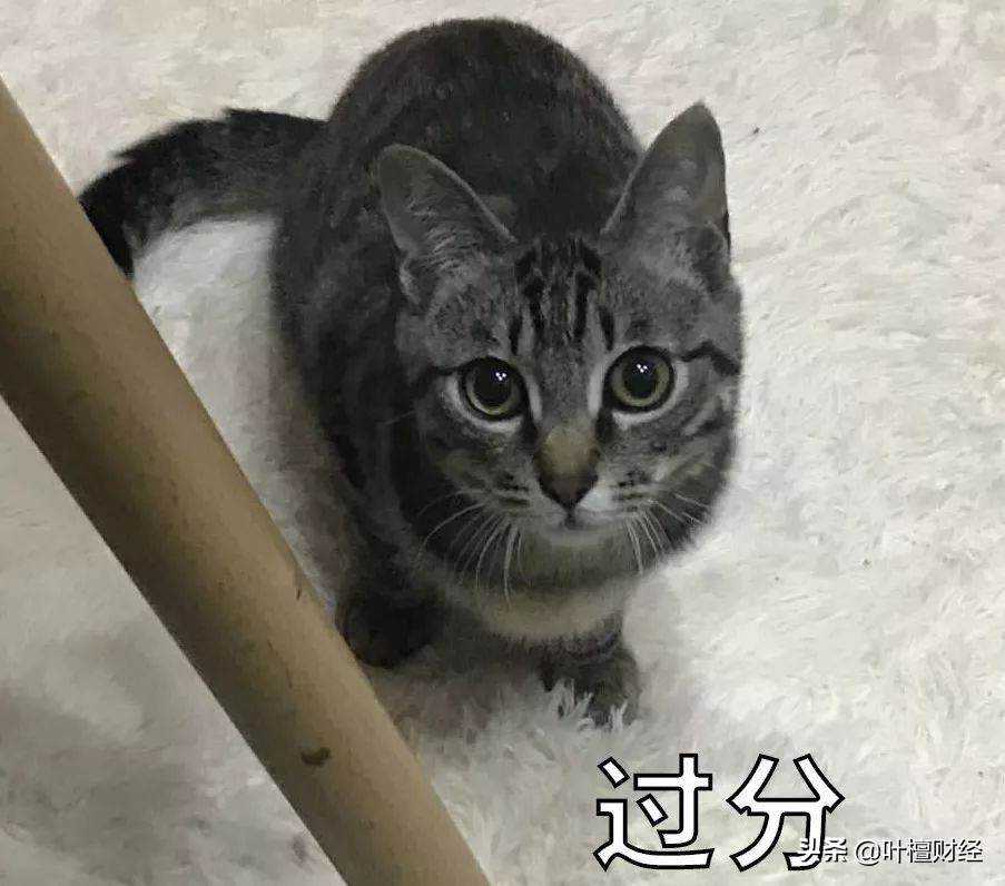 现在投资越来越难了,现在投资为什么容易失败