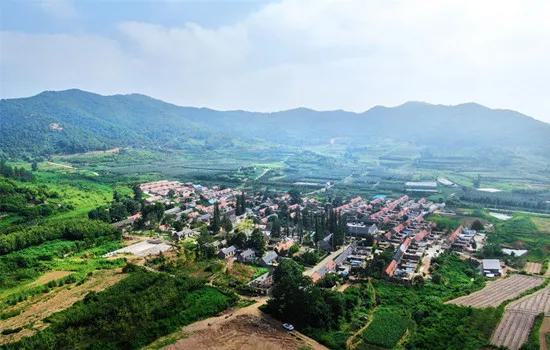 文登西洋参园,天福山文登