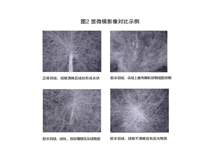 羽绒服防绒测试,保暖羽绒服官方测试